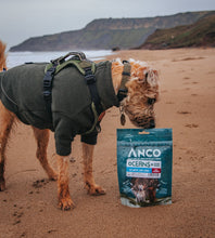 Anco Oceans Atlantic Cod & Cranberry Coin Dog Treats