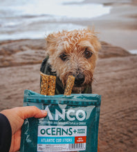 Anco Oceans Cod & Pumpkin Sticks Dog Treats