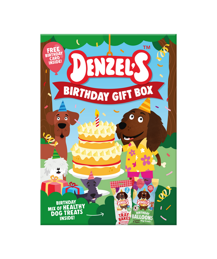Denzels Bites Dog Treats- Birthday Gift Box