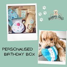 Happy Tails Barkday Doggie Birthday Box