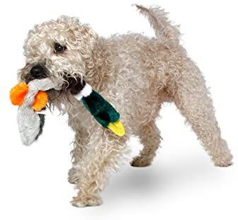 Mallard Duck Dog Toy