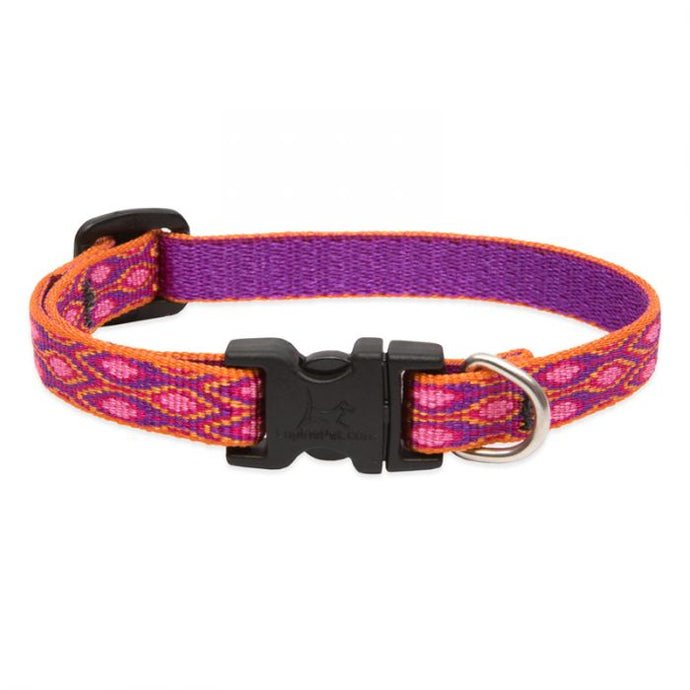 Lupine Pet Alpen Glow Dog Collars Collection