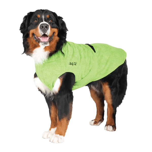 Chilly Dogs Soaker Robe - Happy Tails Natural Treats