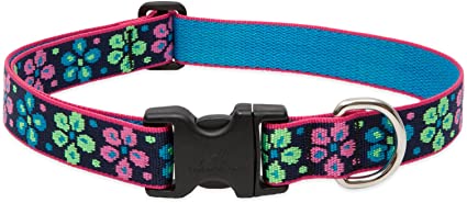 Lupine Pet Flower Power Dog Collars Collection