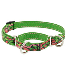 Lupine Pet Tiffany Dog Collars Collection