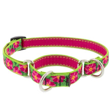 Lupine Pet Petunias Dog Collars Collection