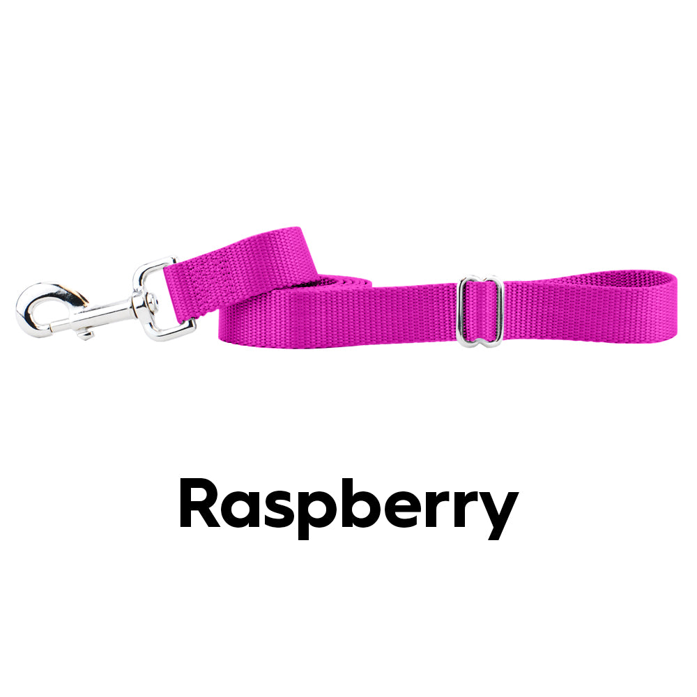 2hound raspberry nylon dog lead-happy tails