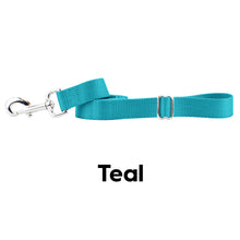 2hound teal nylon dog lead-happy tails