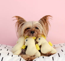 Zippy Paws Burrow minis Dog Toys collection