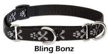 Lupine Pet Bling Boz Dog Collars Collection