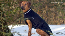 Chilly Dogs Sweater - Happy Tails Natural Treats