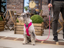 Copenhagen Comfort Walk Pro Dog Harness-Pink