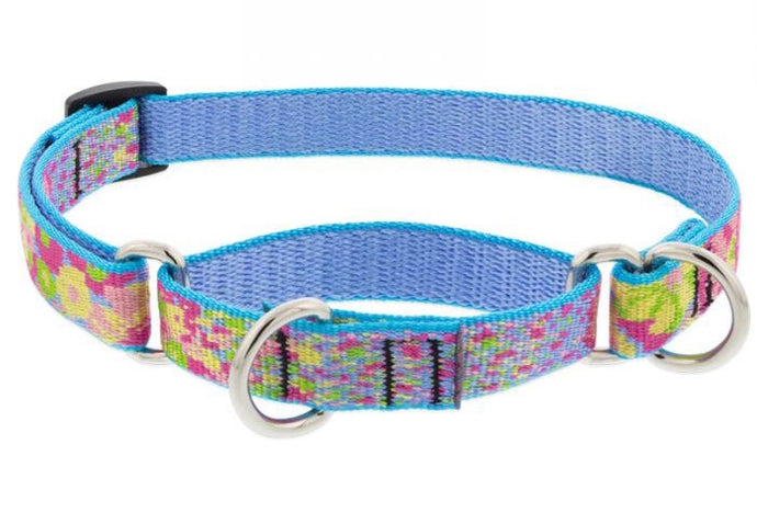 Lupine Pet Cottage Garden Dog Collars Collection – Happy Tails