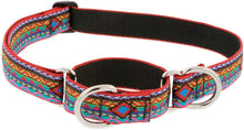 Lupine Pet El Passo Dog Collars Collection