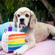 Huxley & Kent Funfetti Cake Dog Toy