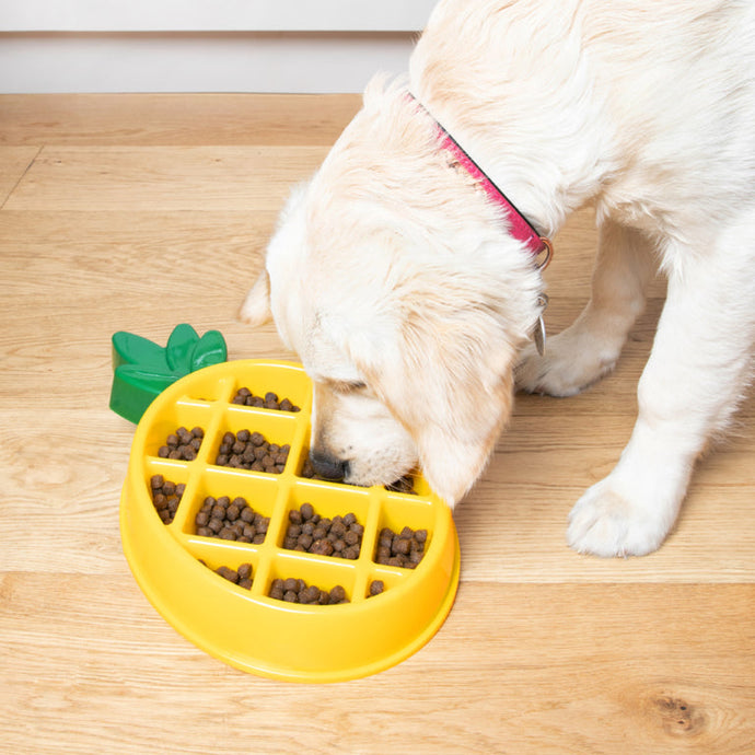 Zippy Paws Pineapple Dog Bowl (slow feeder)