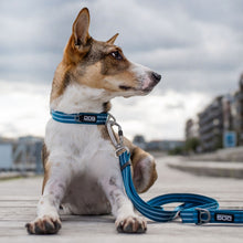 Copenhagen Freestyle Dog Leash